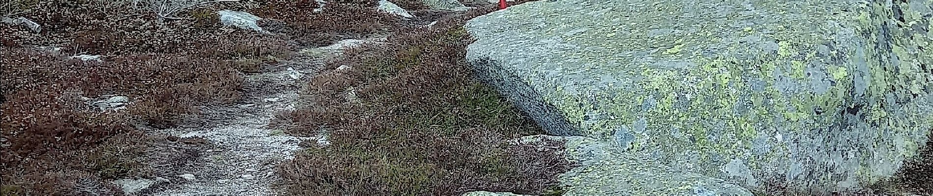 Punto di interesse Pont de Montvert - Sud Mont Lozère - continuer tout droit ou à droite pour raquettes - Photo