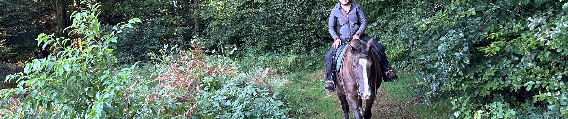 Trail Horseback riding Étalle - Etalle 11 km - Photo