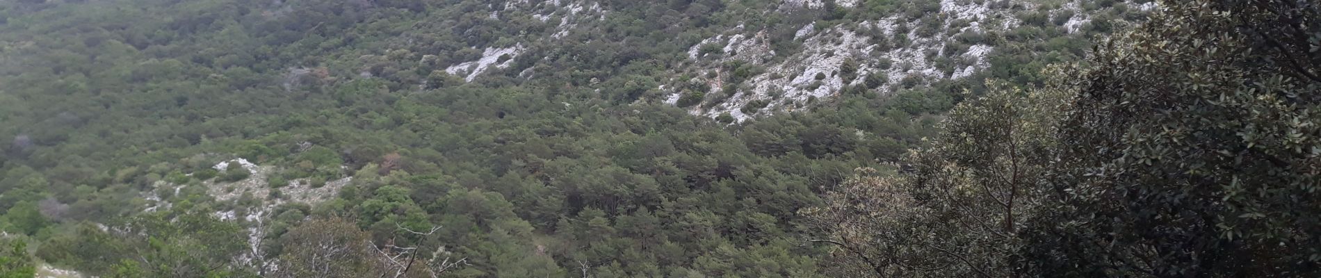 Excursión Senderismo Plan-d'Aups-Sainte-Baume - col du cros par la brasque - Photo