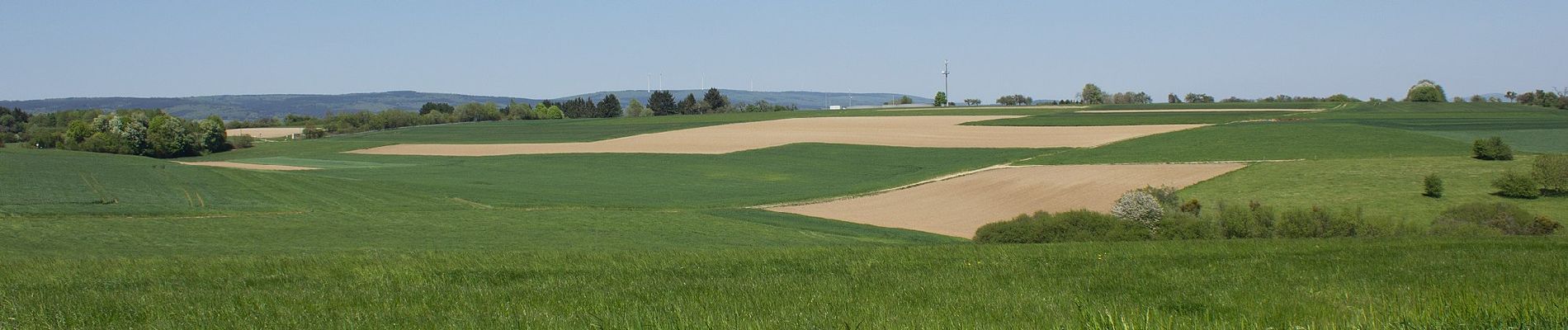 Tocht Te voet Losheim am See - Oppig-Grät-Weg - Photo