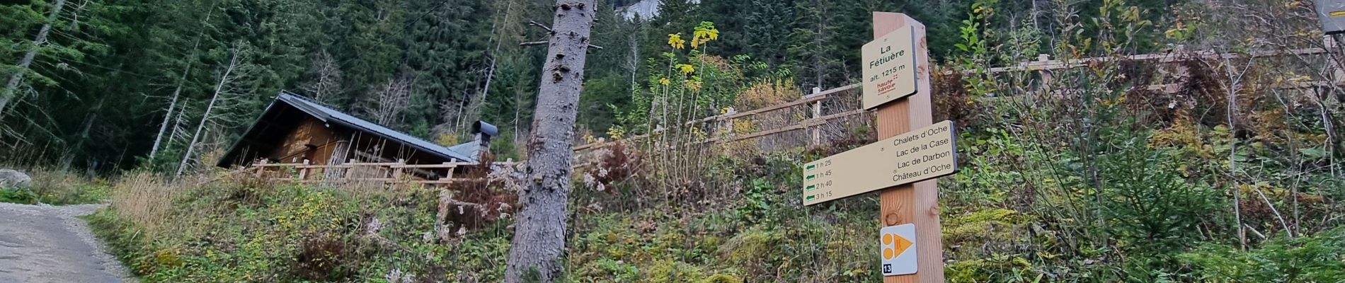 Percorso Marcia Bernex - Tour Dent d'Oche - Photo