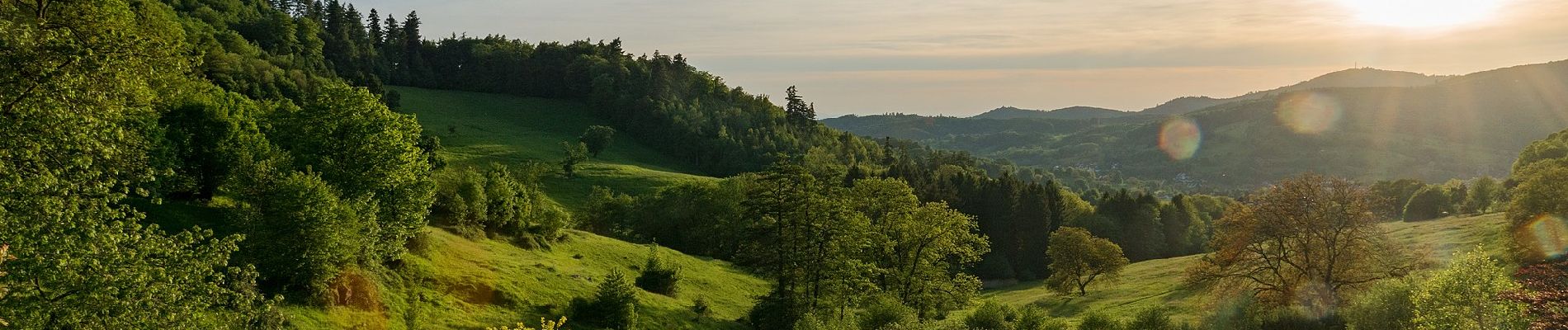 Randonnée A pied Lautertal - Rundwanderweg Reichenbach 4: Hohenstein-Weg - Photo