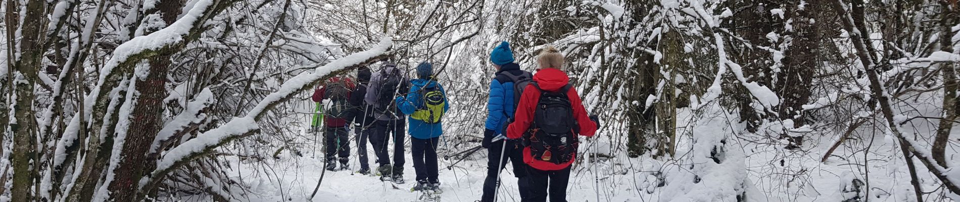 Tour Schneeschuhwandern Fraroz - rando raquette haut joux - Photo