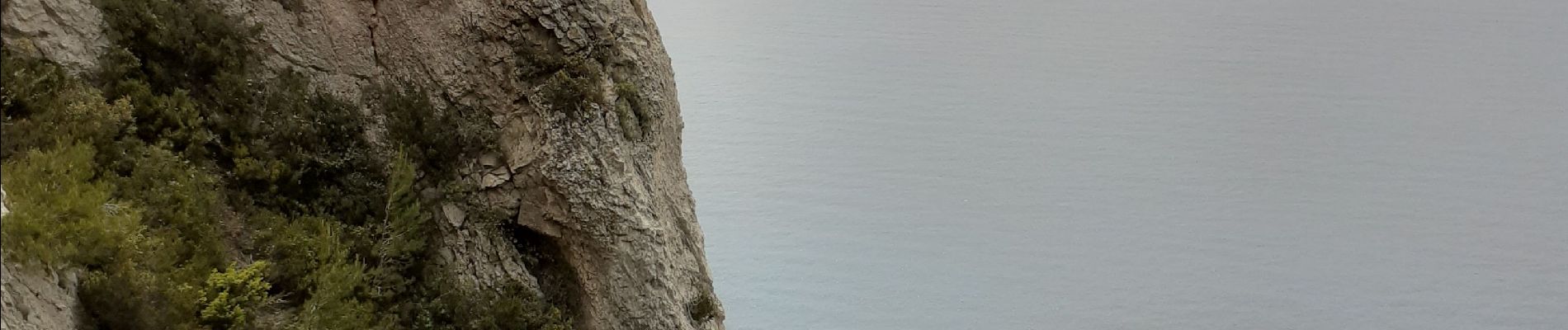 Excursión Senderismo La Ciotat - Grotte des Immigrés  - Photo