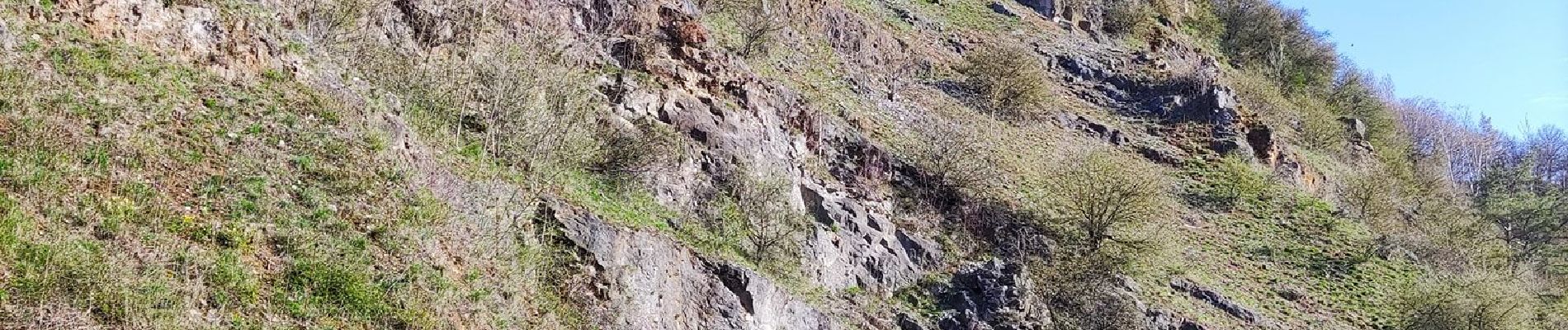 Excursión Senderismo Flémalle - Promenade vers la réserve naturelle « Aux roches »  - Photo