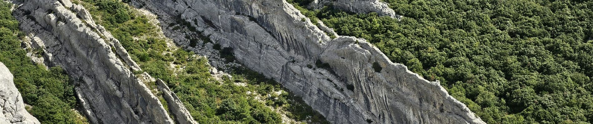 Excursión Senderismo Plan-d'Aups-Sainte-Baume - La Tour de Cauvin les dents de la Roque Forcade et la grotte de la Grande Baume - Photo