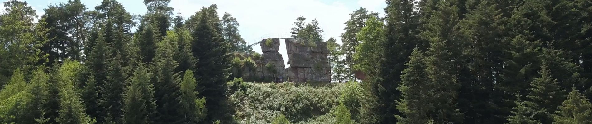 Randonnée A pied Taintrux - GR de Pays de Déodatie - Photo