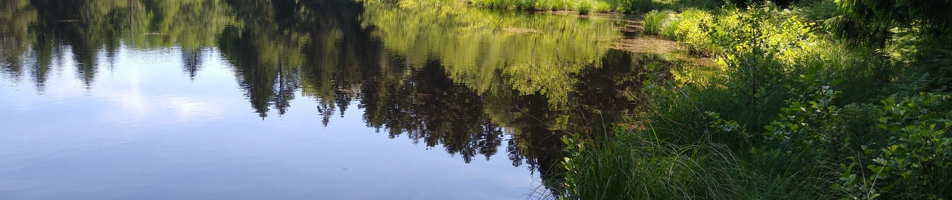 Trail Walking Sainte-Marie-en-Chanois - saint Colomban - Photo