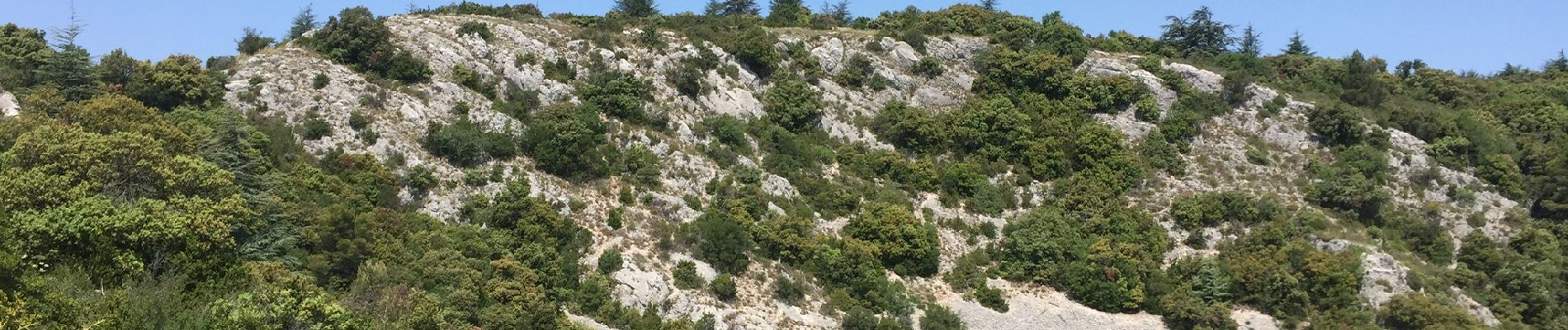 Tour Wandern Mérindol - PF-Mérindol - Puget-Les Borrys-Rochers des Onze Heures-Croix de Fer-Combe de l'Euse - Photo