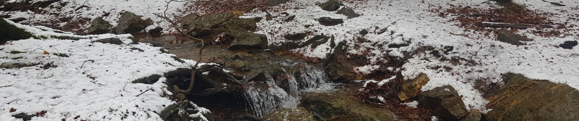 Tocht Stappen Spa - La Géronstère  - Photo