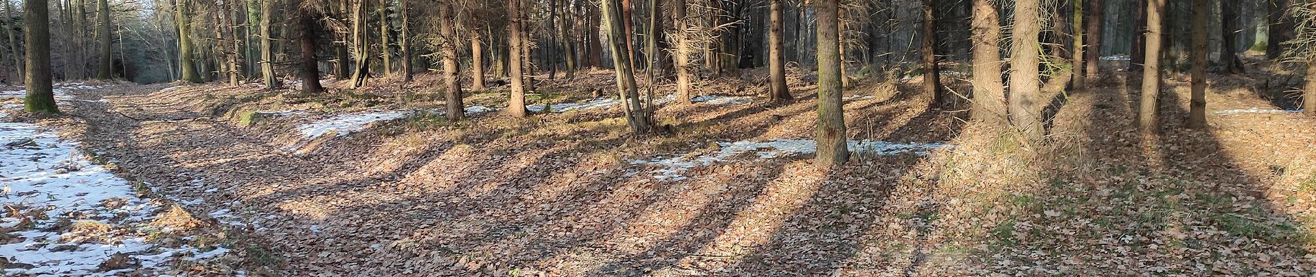 Randonnée A pied Bolatice - Lesní naučná stezka v Chuchelenském lese - Photo