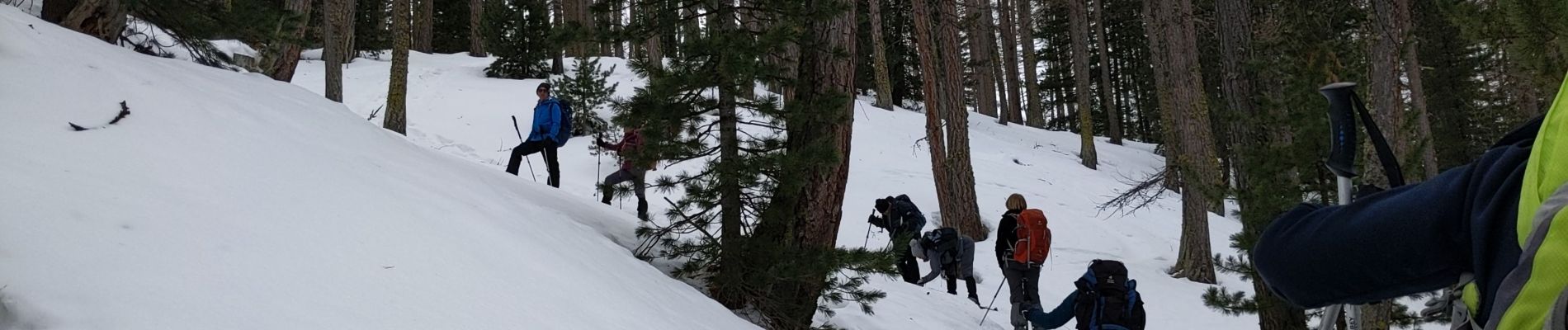 Trail Snowshoes Saint-Paul-sur-Ubaye - Fouillouse  - Photo