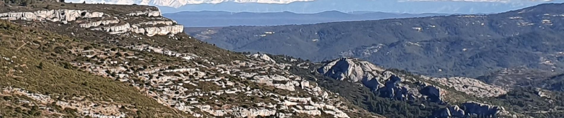 Excursión Carrera Aubagne - Garlaban - Photo