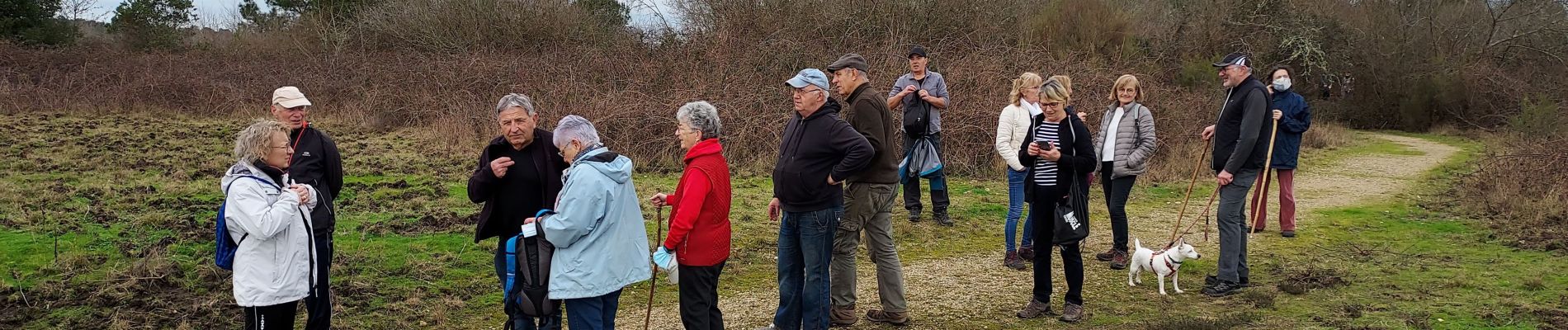 Randonnée Marche Morcenx-la-Nouvelle - Arjuzanx - tour du lac par le jardin de Miocène - 7.5 - Photo