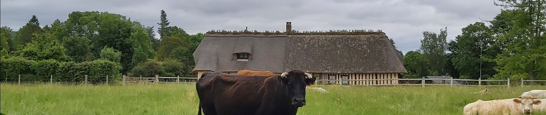 Excursión Senderismo Condé-sur-Risle - Condé sur Risle - Photo