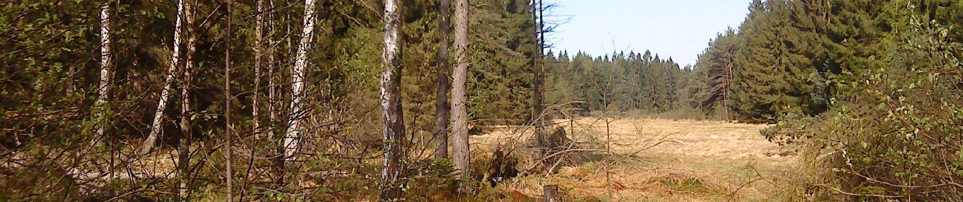Tour Zu Fuß Flörsbachtal - Ortswanderweg Flörsbachtal 9 - Photo