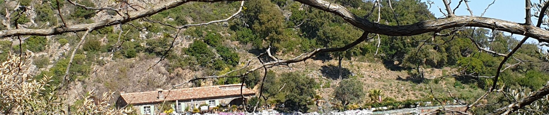 Tocht Stappen La Garde-Freinet - Les Roches Blanches - Photo