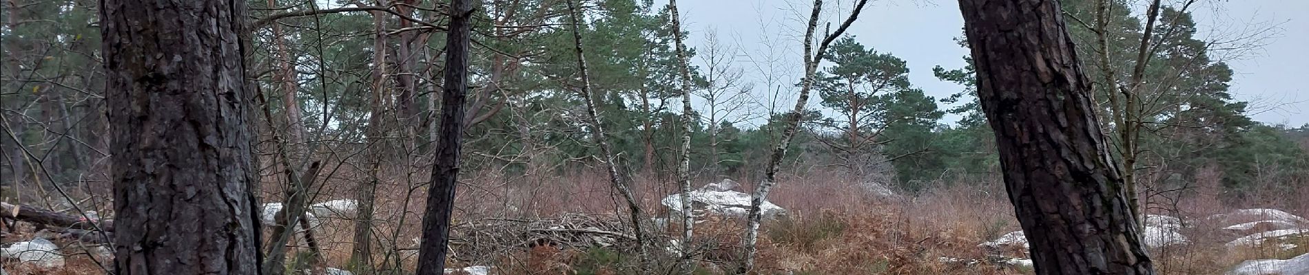 Point d'intérêt Fontainebleau - Mare de Bouligny  - Photo