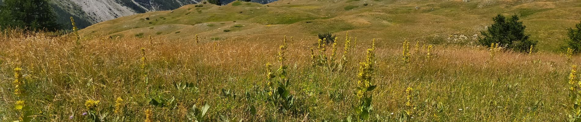 Tour Wandern Cervières - le Bourget - Photo