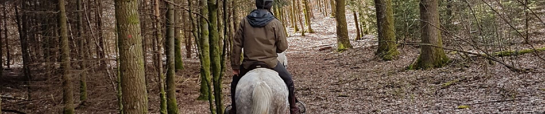 Tour Reiten Viroinval - Oignies grand tour - Photo