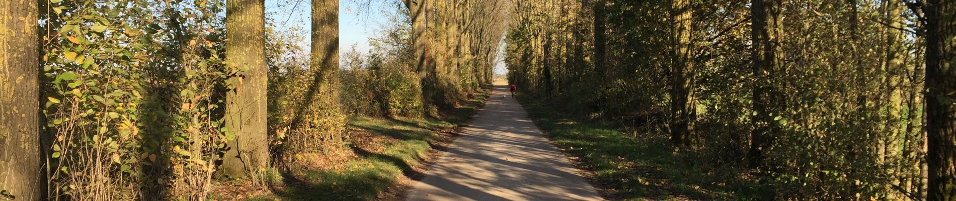 Randonnée Marche Chaumont-Gistoux - BE-Chaumont-Gistoux - Vieusart  - Photo