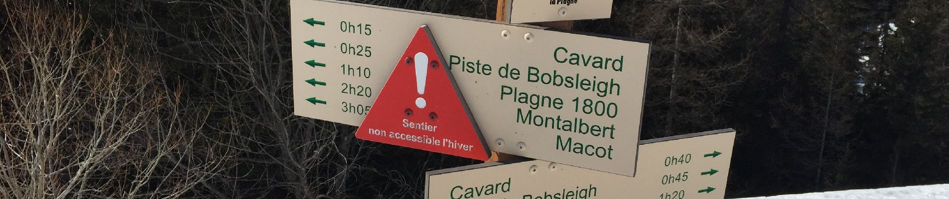 Tocht Stappen La Plagne-Tarentaise - Les Frasses  - Photo