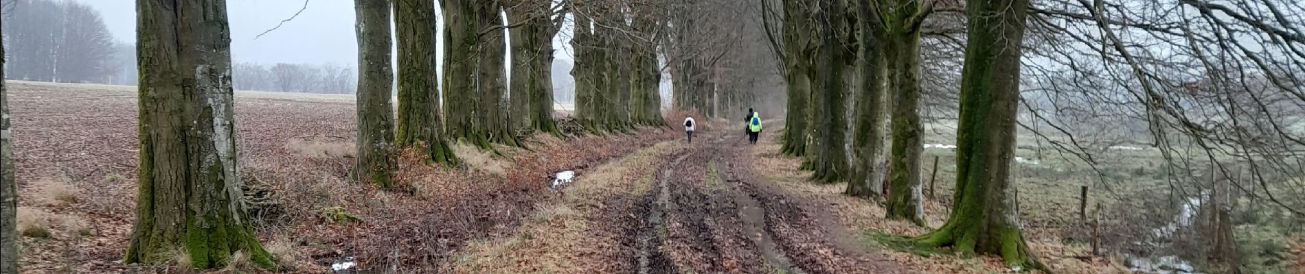 Tour Wandern Libramont-Chevigny - Marche ADEPS Freux - Photo