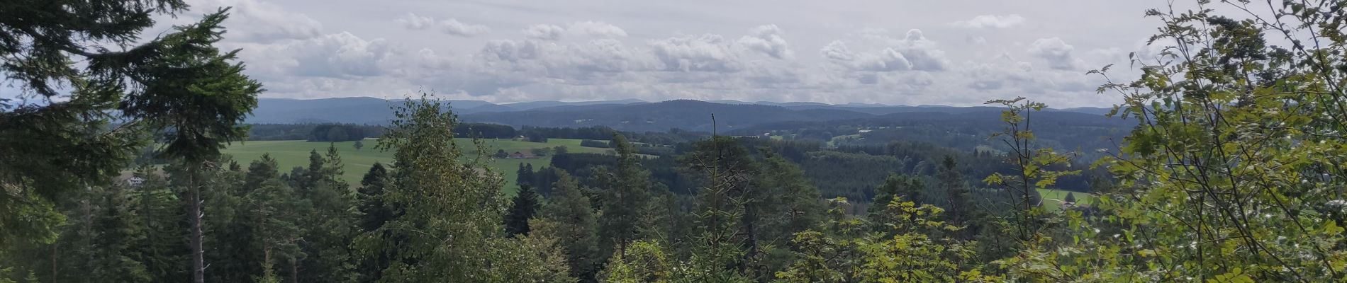 Tour Elektrofahrrad Granges-Aumontzey - granges-Spie mont-pierre sacrifice - Photo