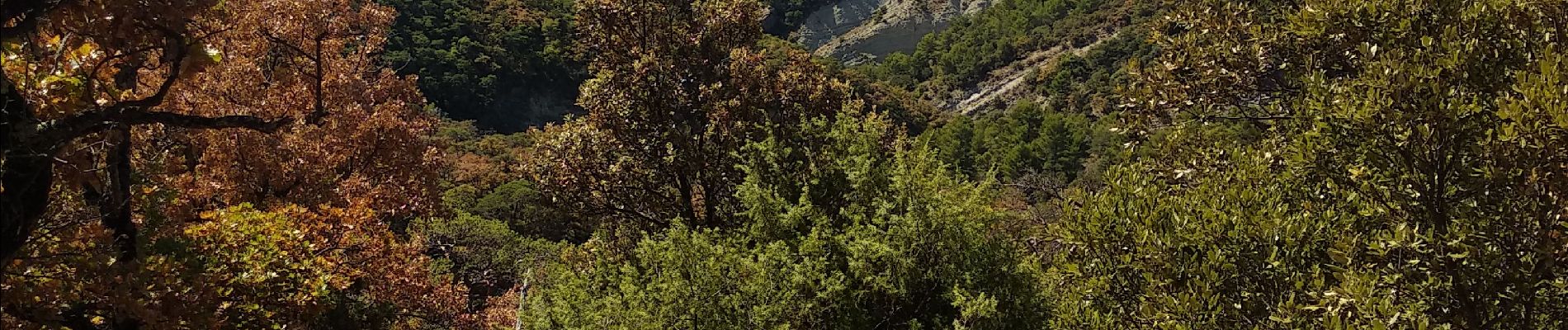 Randonnée Marche Venterol - Venterol La Combe de Sauve boucle  - Photo