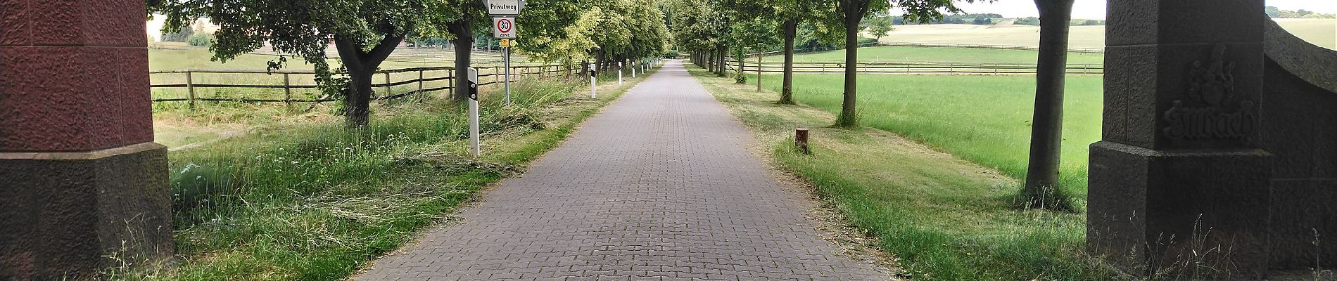 Tocht Te voet Reinheim - Geopark-Pfad Reinheimer Hügelland - Photo