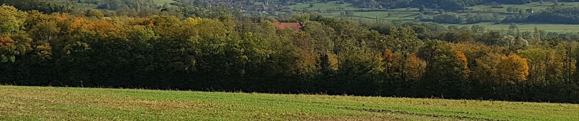 Tocht Stappen Montigny-lès-Vesoul - montigny jm - Photo