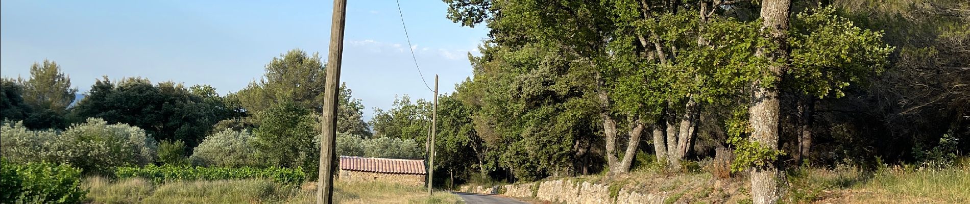 Tocht Stappen Lambesc - Nord de LAMBESC - Photo