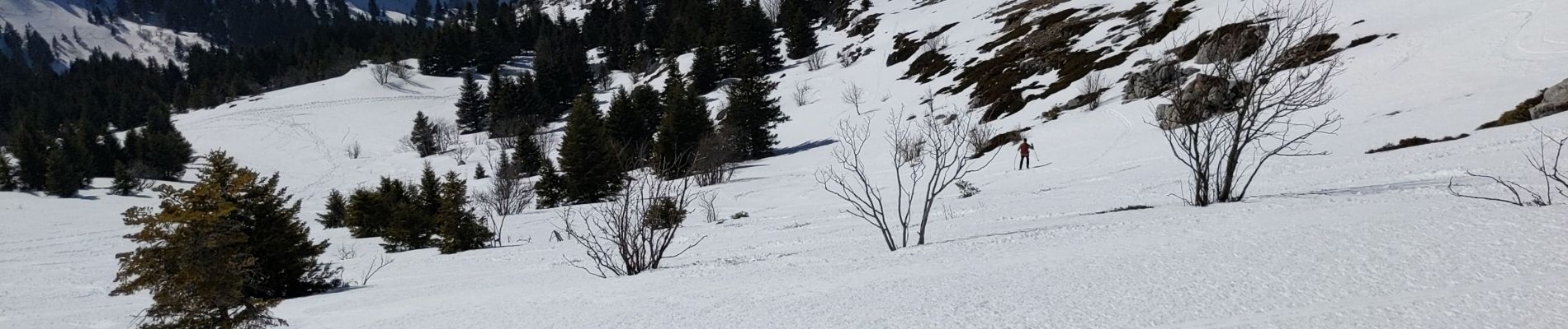 Randonnée Raquettes à neige Lans-en-Vercors - Pic St Michel 2020 - Photo