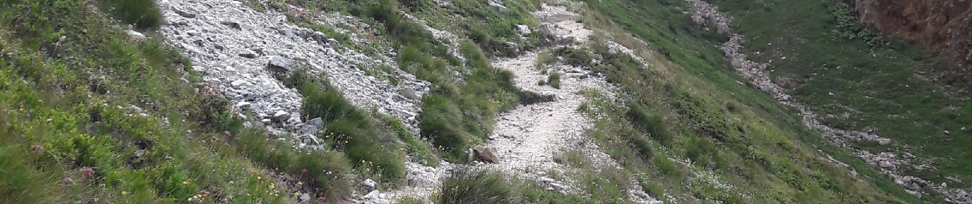 Randonnée Marche Bourg-Saint-Maurice - aiguille Grive - Photo