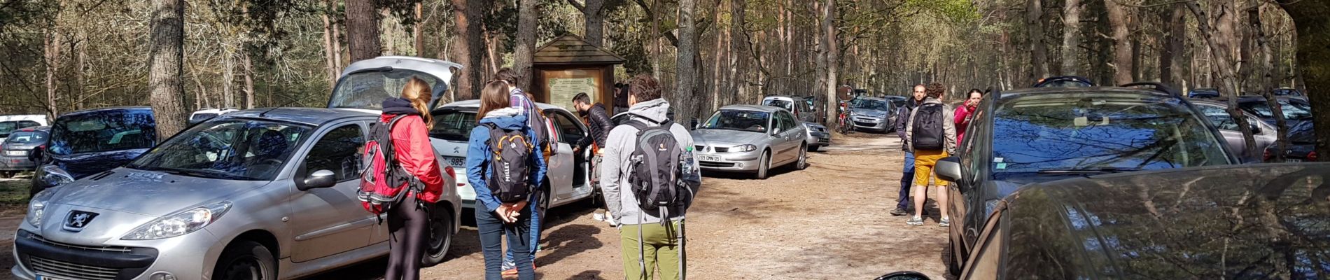 Excursión Senderismo Noisy-sur-École - Sentier des 25 bosses (1ère moitié) - Photo