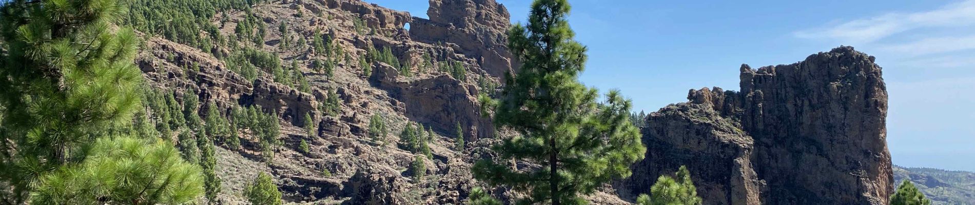 Trail Walking Tejeda - Pico de las Nieves (Gran Canaria) - Photo