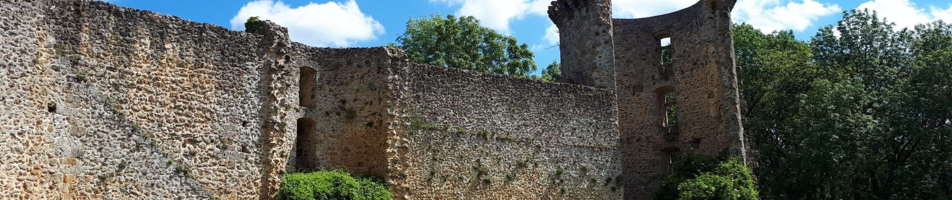 Randonnée Marche Chevreuse - 210527 chateau de la Madeleine - Photo