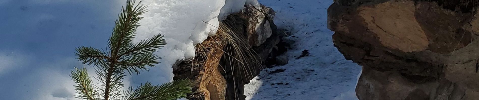 Percorso Racchette da neve Ceillac - ceillac ravin du clos des oiseaux 11kms 506m  - Photo