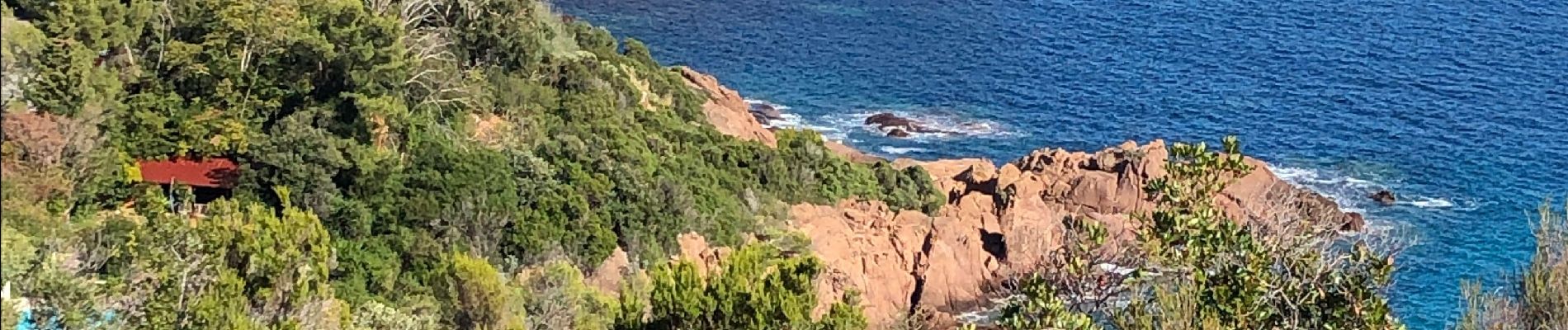 Tocht Stappen Saint-Raphaël - Pic de l’ours  - Photo