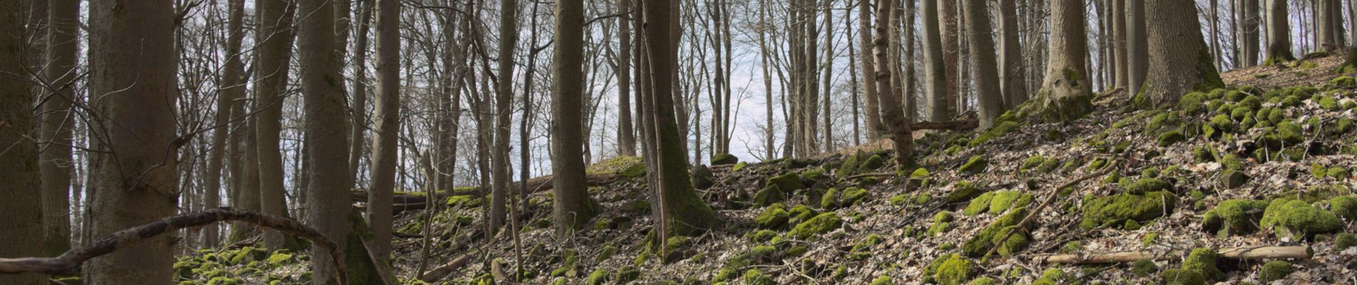 Tocht Te voet Eiterfeld - Rundweg 4, Stallberg - Photo