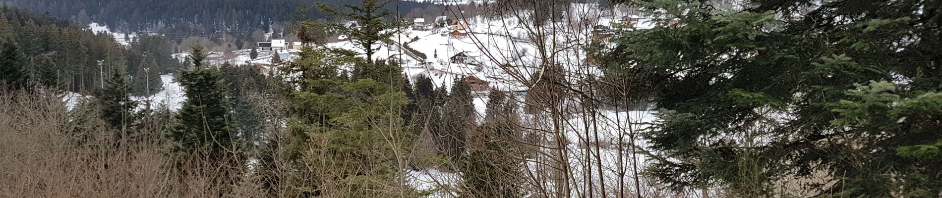 Randonnée Raquettes à neige Gérardmer - herardmer 1 - Photo