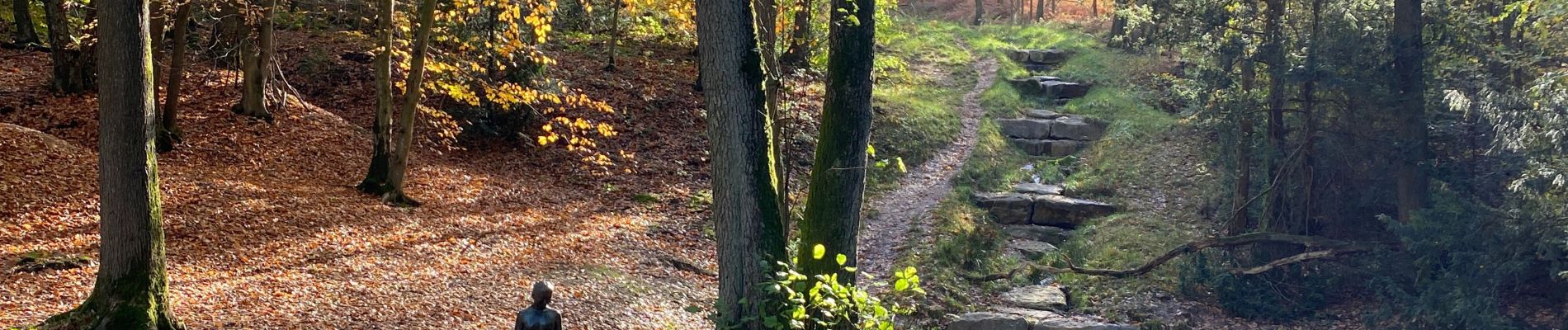 Tocht Stappen Luik - Colonster parc forêt université  - Photo