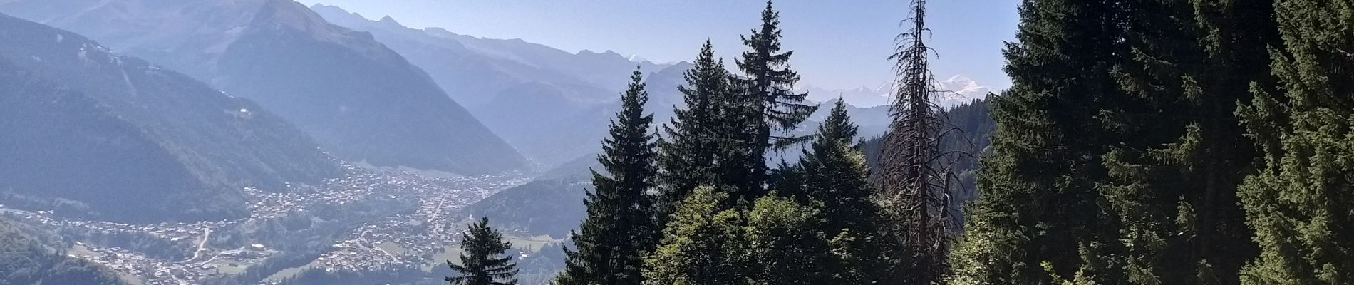 Excursión Senderismo Saint-Jean-d'Aulps - Joranloup par télécabine  - Photo