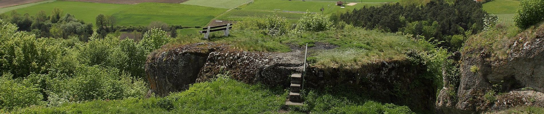 Tocht Te voet Plankenfels - Plankenfels Grün-Punkt-Rundweg - Photo