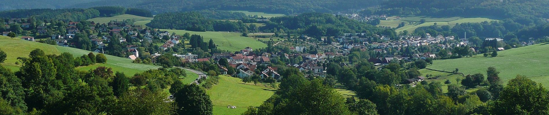 Percorso A piedi Abtsteinach - Rundwanderweg Abtsteinach 6: Steinbruchweg - Photo