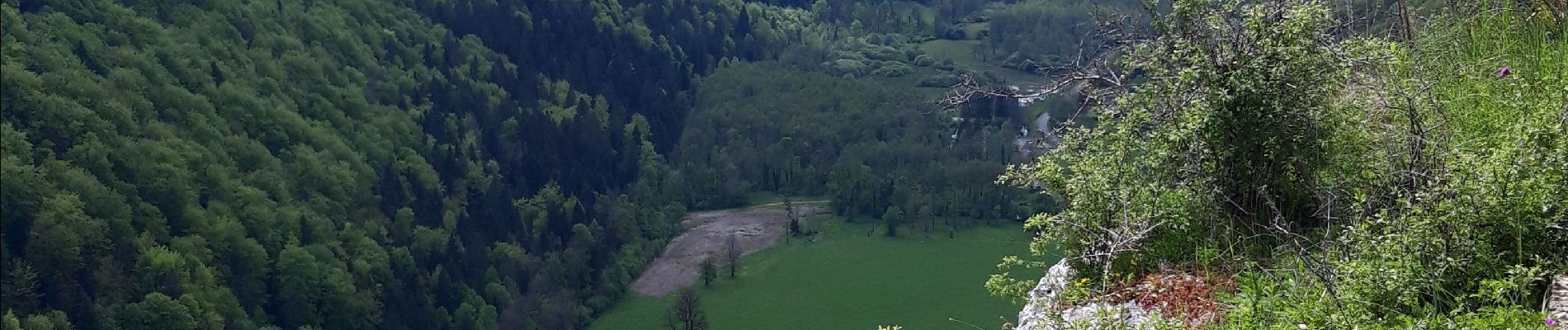 Percorso Marcia Menétrux-en-Joux - Menetrux. Les Cascades du hérisson.  - Photo