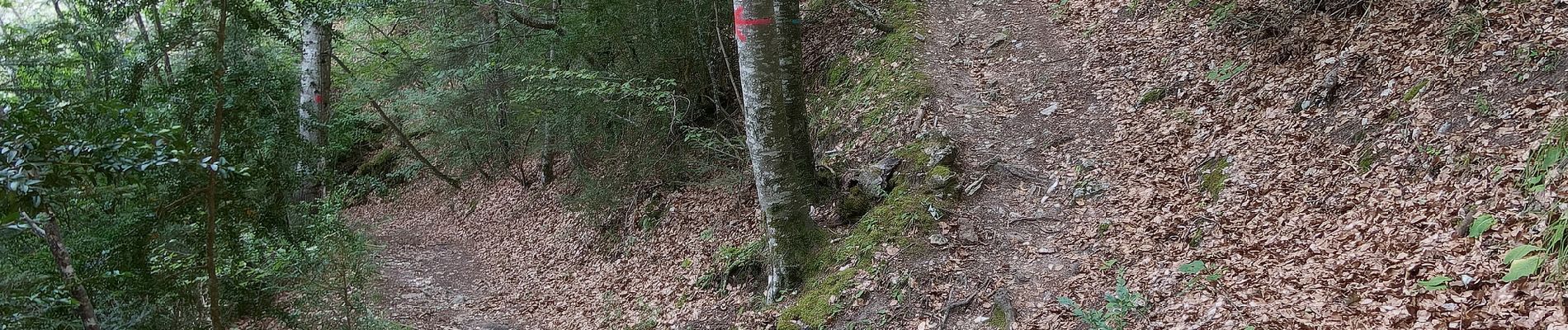 Tocht Stappen Châtillon-en-Diois - Circuit des Baumes - Pont de vachères-Soubreroche - Boulc - Photo