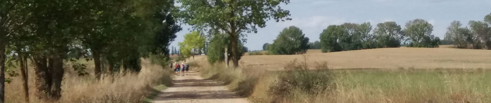 Percorso Marcia Castrojeriz - Boadiĺla del Camino - Photo