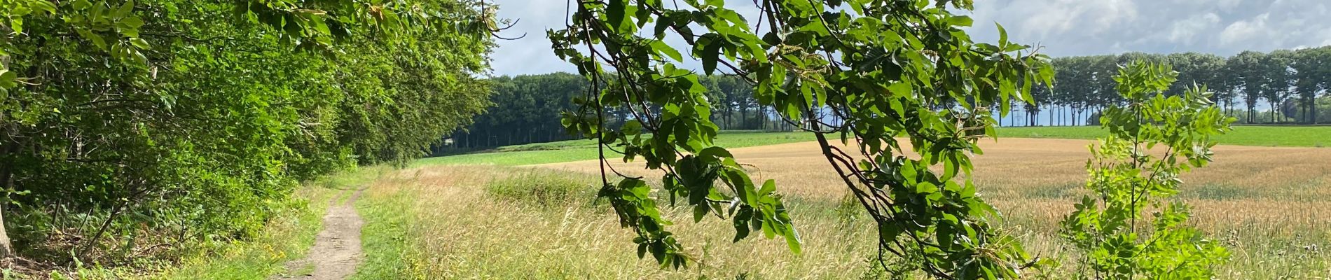 Randonnée Marche Genappe - Glabais - Hauts du bois Ways Ruart - Photo