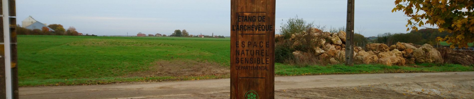 Trail Walking Villedômer - Étang de l'Archevêque - Crotelles la Grand' Vallée - 20.3km 215m 4h25 (35mn) - 2022 11 26 - Photo